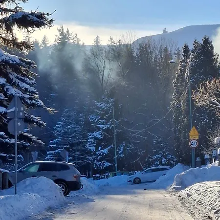 빌라 Rosa-apartamenty Z Prywatna Sauna *