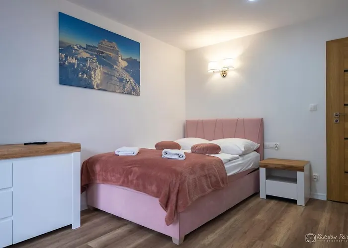 빌라 Rosa-apartamenty Z Prywatna Sauna 스클라르스카포렘바