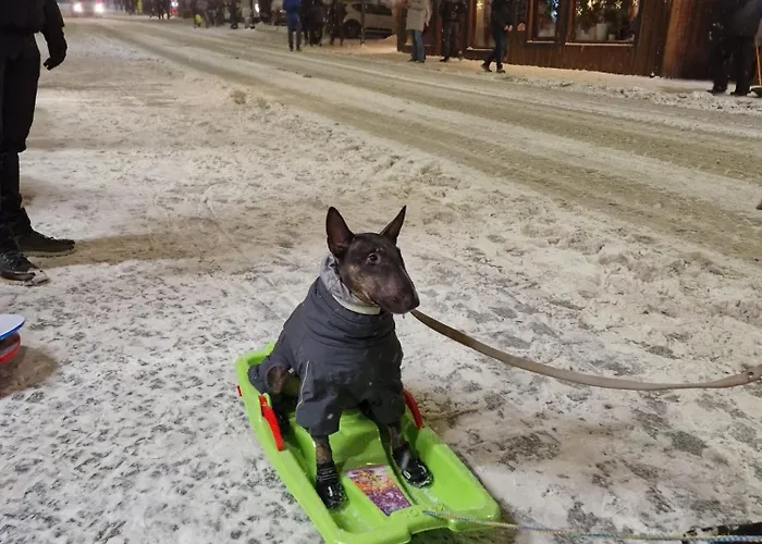 Rosa-apartamenty Z Prywatna Sauna *